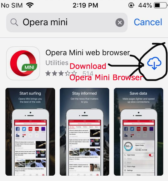 Install Opera Mini on iPhone