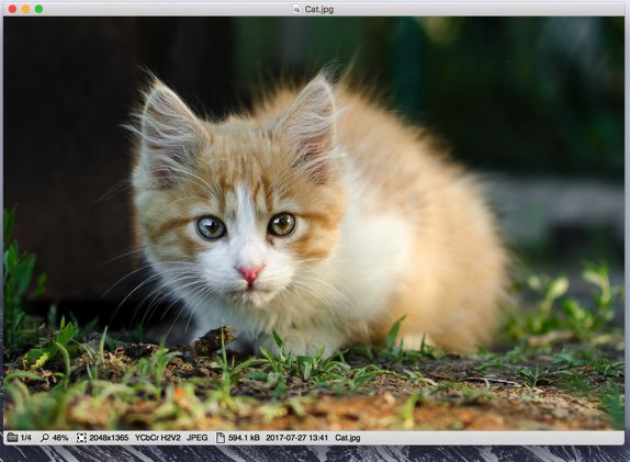 Xee Image Viewer for Mac OS